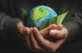 WhatsApp Image 2025-11-27 at 7.49.18 PM