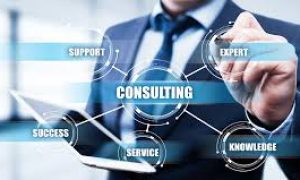 WhatsApp Image 2025-11-27 at 7.49.21 PM